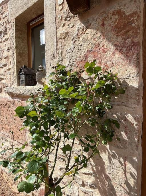 Villa Le Tinailler Grand Standing Au Coeur Des Vignes Prissé Exterior foto