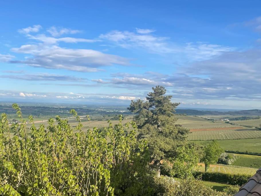 Villa Le Tinailler Grand Standing Au Coeur Des Vignes Prissé Exterior foto